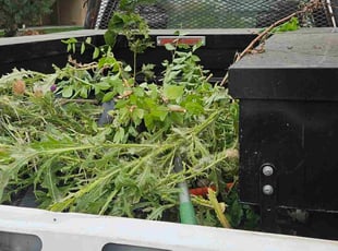 Cody J.'s Flower Bed Weeding service result