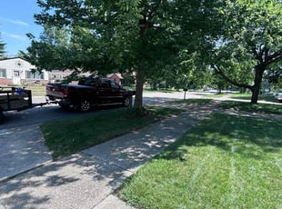 Lynn M.'s lawn maintenance service result