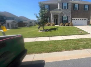 Rafay M.'s grass maintenance service result