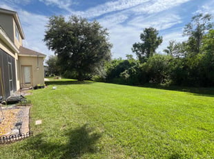 Sean O.'s lawn service service result
