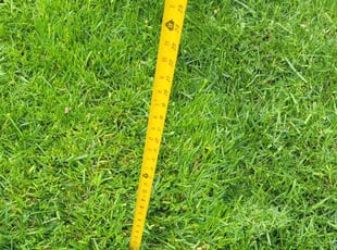 Bob D.'s lawn care services service result