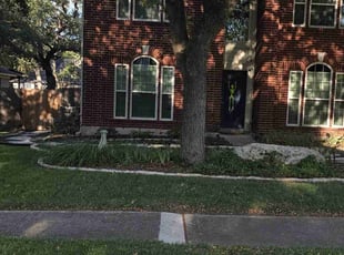 Mark P.'s grass cutting service result