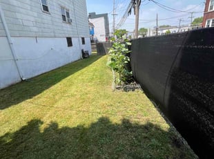 Stephan H.'s grass cutting service result