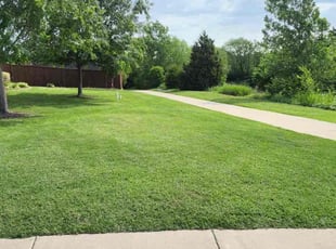 Johnnie C.'s turf care service result