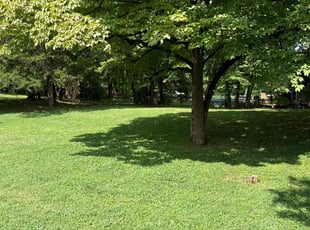 Brian D.'s yard service service result