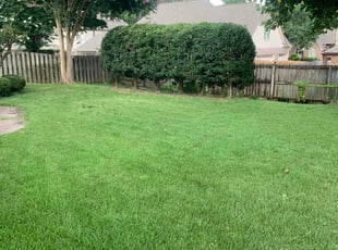 Senoria G.'s grass maintenance service result