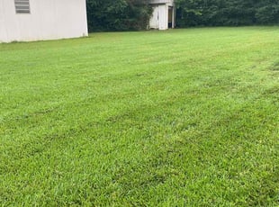 Sharon E.'s lawn service service result