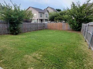 Mike c.'s turf care service result