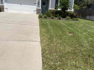 Vernell C.'s yard work service result