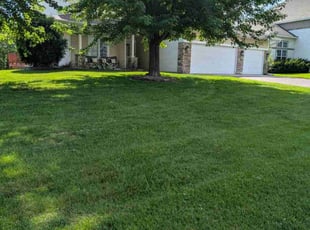 Xavier S.'s grass maintenance service result