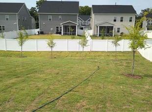 Sheri E.'s grass maintenance service result