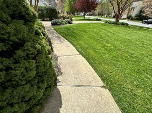 John E.'s lawn care services service result
