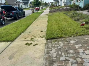 Tameka V.'s lawn service service result