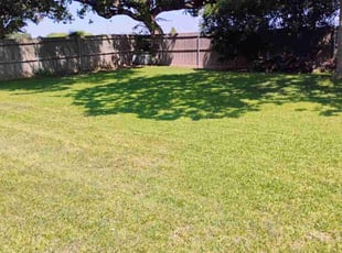 Dina M.'s lawn maintenance service result