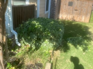Tom Z.'s Bush Trimming service result