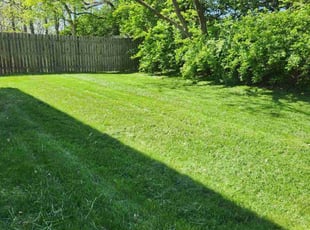 Charles C.'s grass maintenance service result