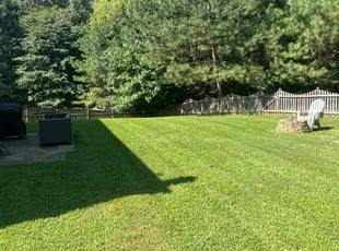 Monique M.'s lawn maintenance service result