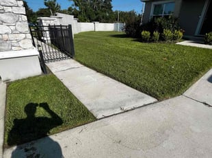 Etienne B.'s grass maintenance service result