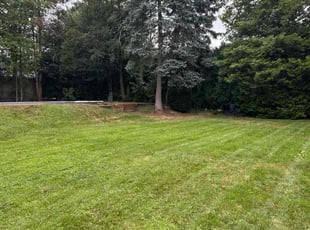 Myra W.'s lawn maintenance service result