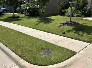 Ana O.'s grass cutting service result