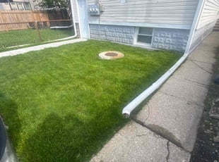 Sandra M.'s turf maintenance service result
