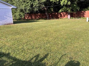 Casey N.'s grass cutting service result