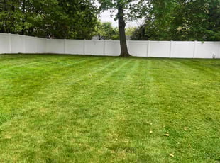 Adam C.'s grass cutting service result