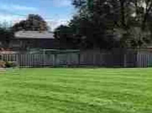 Geri C.'s lawn service service result
