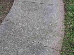 Miranda R.'s lawn maintenance service result