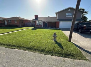 Rosalia m.'s lawn maintenance service result