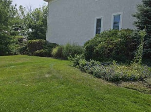 Abby W.'s Bush Trimming service result