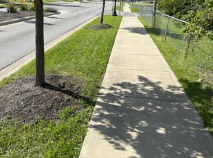 Sara K.'s turf maintenance service result