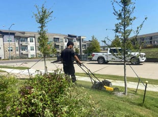 Sarah C.'s lawn care service result