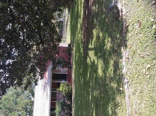 Andrea C.'s grass cutting service result