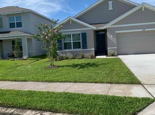 Rob H.'s turf maintenance service result