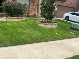 David J.'s turf maintenance service result