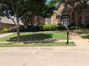 Tammy D.'s grass cutting service result