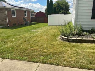 Cynthia M.'s grass cutting service result