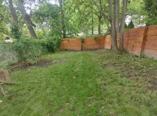 Carol C.'s grass maintenance service result