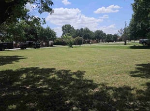 Genella P.'s turf maintenance service result