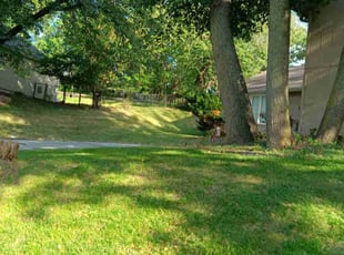 Dustin M.'s grass cutting service result