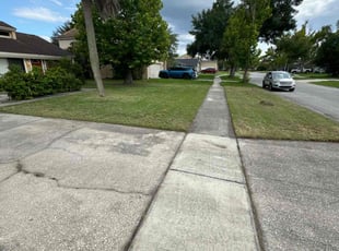 Eileen N.'s lawn service service result