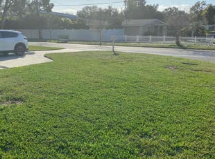 Diane C.'s turf maintenance service result