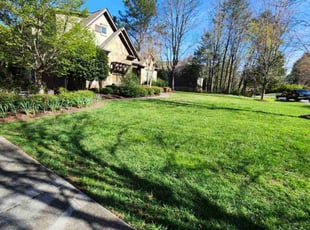 Ashley D.'s turf care service result