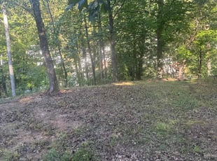 William H.'s Long Grass Cleanup service result