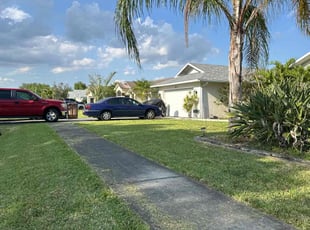 Ladawn R.'s lawn maintenance service result