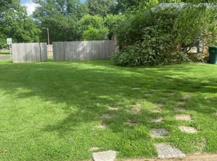 Timothy S.'s lawn maintenance service result