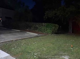 Sopenia G.'s Bush Trimming service result