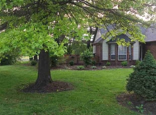 Otis B.'s yard service service result
