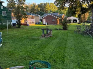 Jacqueline S.'s lawn maintenance service result
